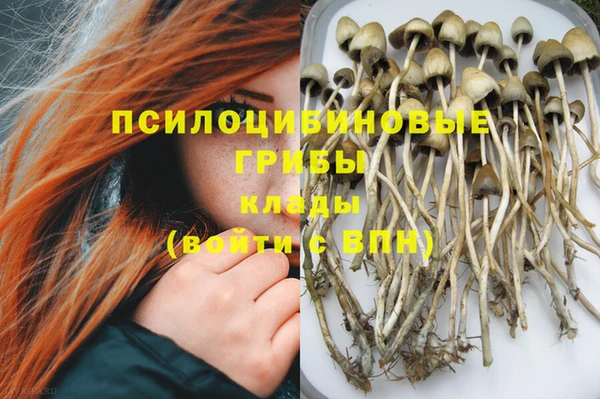 альфа пвп Володарск